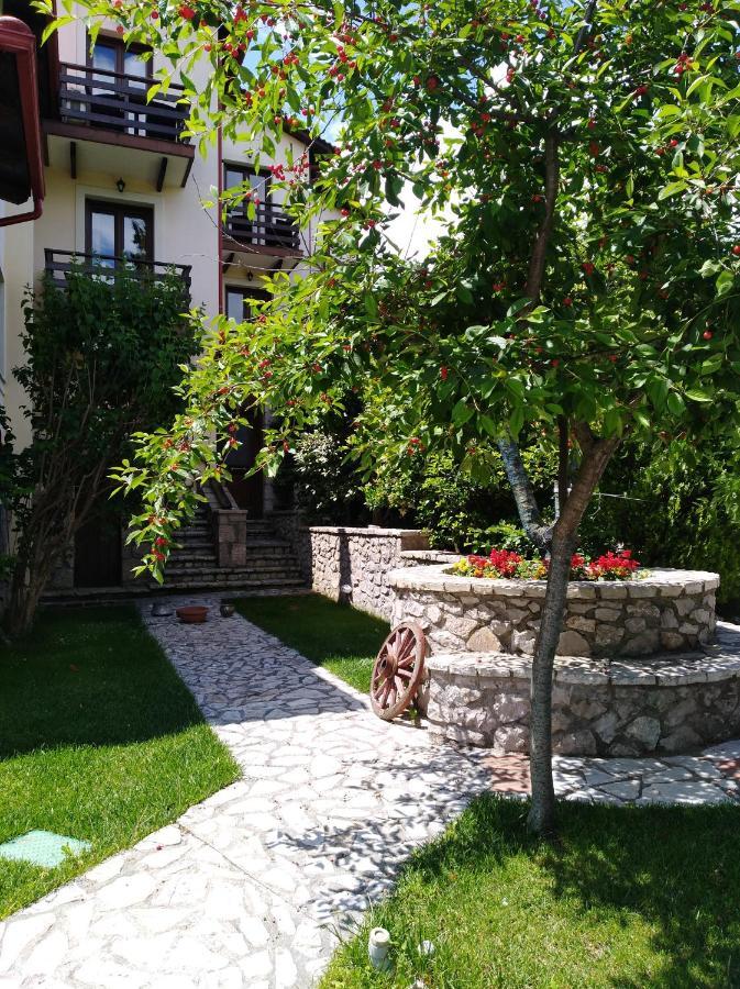 Dryas Guesthouse 폴리드로소스 외부 사진